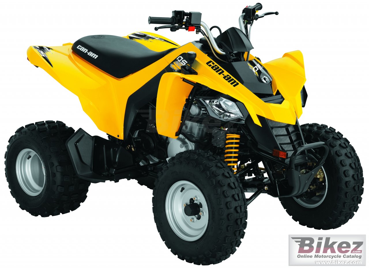 Big Can-Am ds 250 picture and wallpaper from Bikez.com